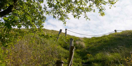 Dotts billeder fra Duegården
