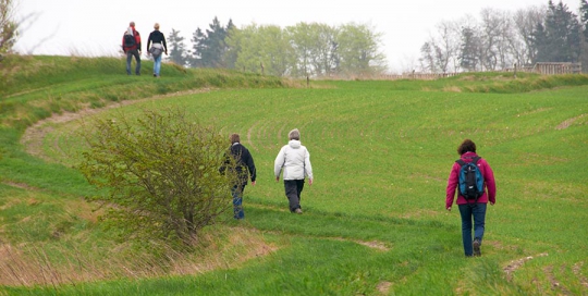 Dotts billeder fra Duegården