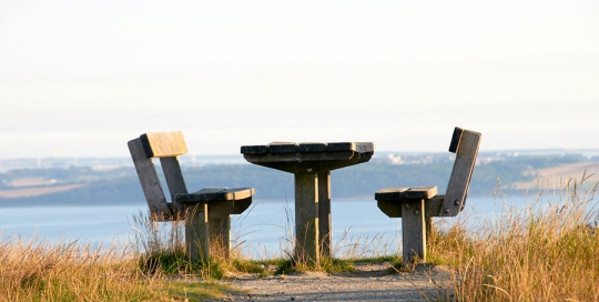 Dotts billeder fra Duegården