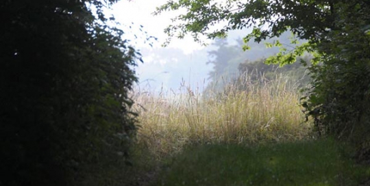 Dotts billeder fra Duegården
