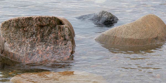 Dotts billeder fra Duegården