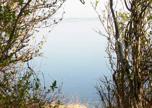 Dotts billeder fra Duegården